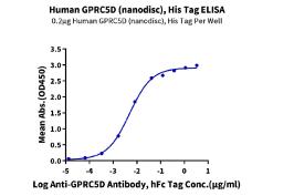 Human GPRC5D Nanodisc与抗体结合的剂量响应曲线